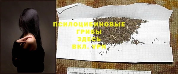 прущий лед Богородск