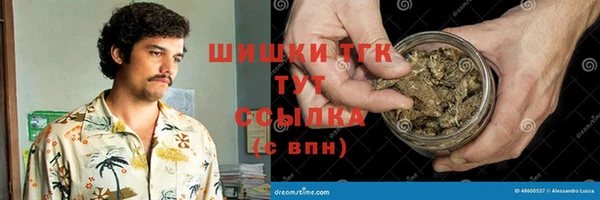 apvp Арсеньев