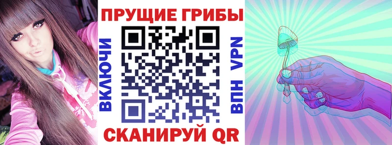 Галлюциногенные грибы Psilocybe  цена   Певек 
